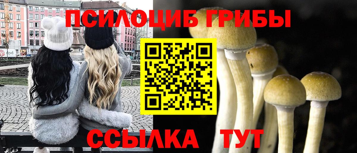 Галлюциногенные грибы Cubensis Чехов