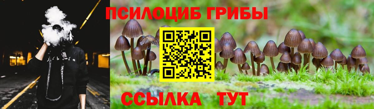 Галлюциногенные грибы GOLDEN TEACHER  Галлюциногенные грибы Magic Shrooms  Вход с VPN  Чехов 